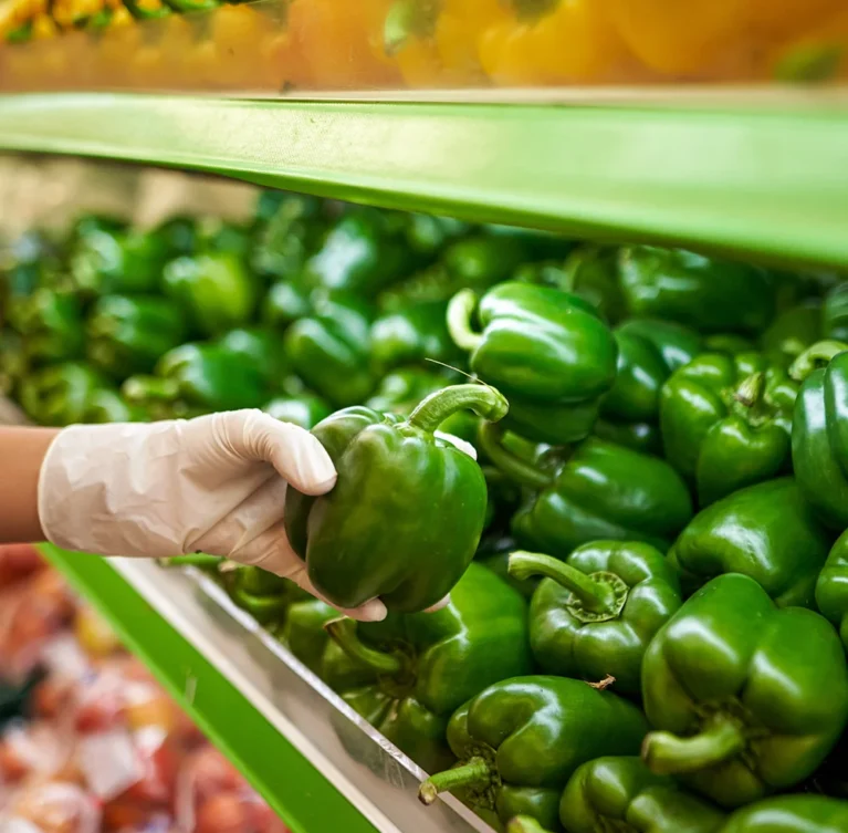 Our experienced crew heads out daily to harvest fresh, high-quality seafood from Florida waters.